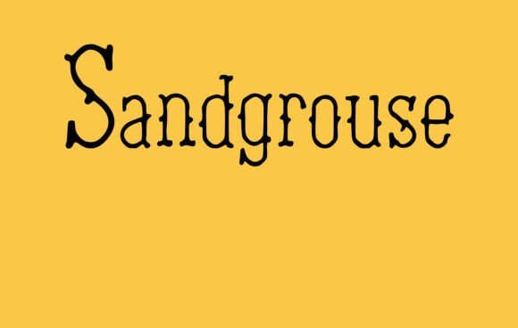 Sandgrouse: A Bold Serif Font for Editorial Design